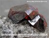 Natural Almandine Garnet Crystal