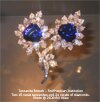 Tanzanite